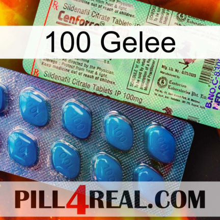 100 Jelly new02